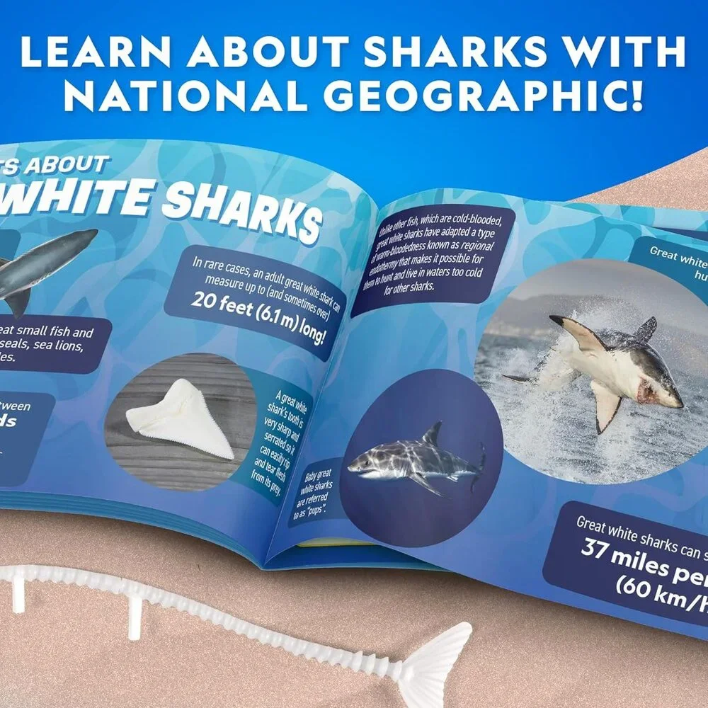National Geographic Shark Dissection Kit Glow in The Dark Great White Shark Anat